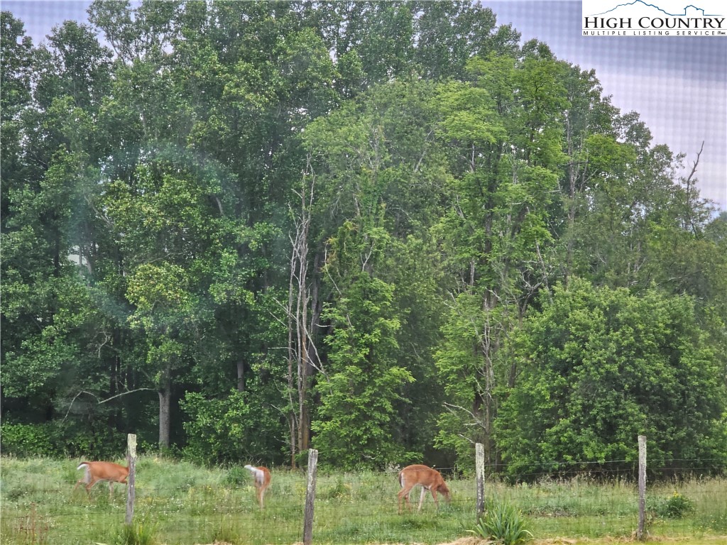 859 Phipps Road Sparta, NC 28675 - Photo 41 of 50 Gallery Image 41