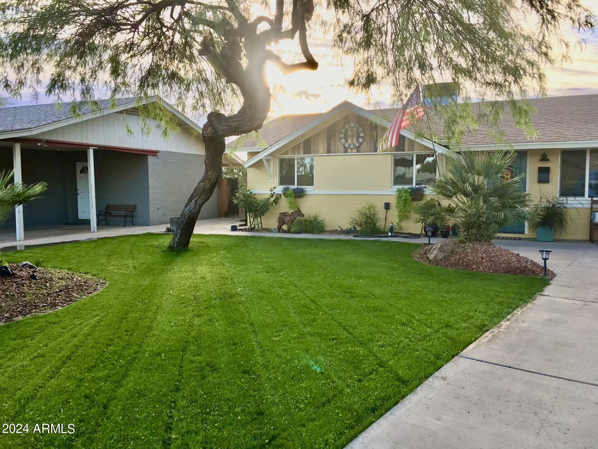 855 West Del Rio Street Chandler, AZ 85225 - Photo 10 of 13 NEW TURF