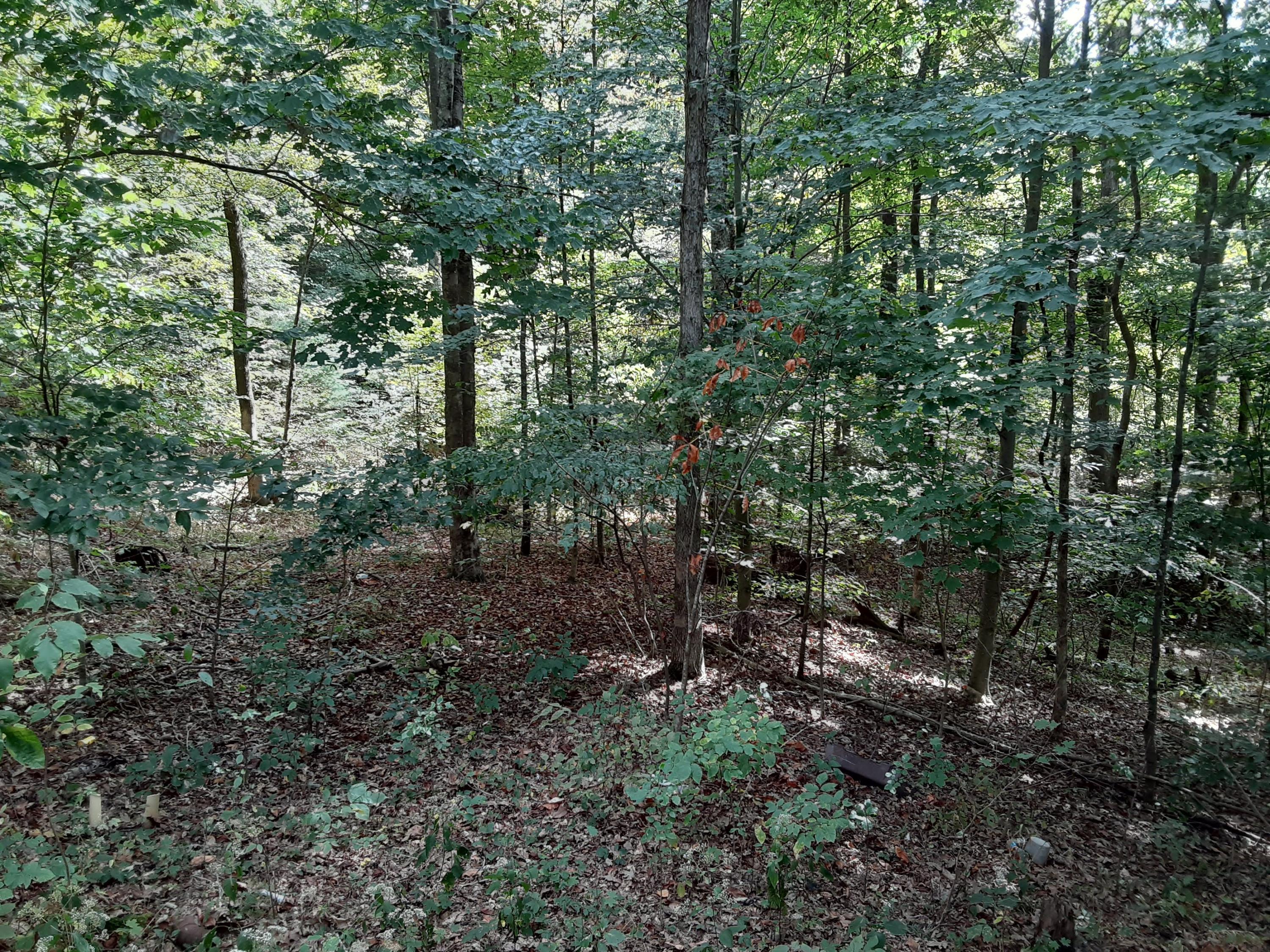 3070 East Branch Road Malta, OH 43758 - Photo 1 of 4 Gallery Image 1