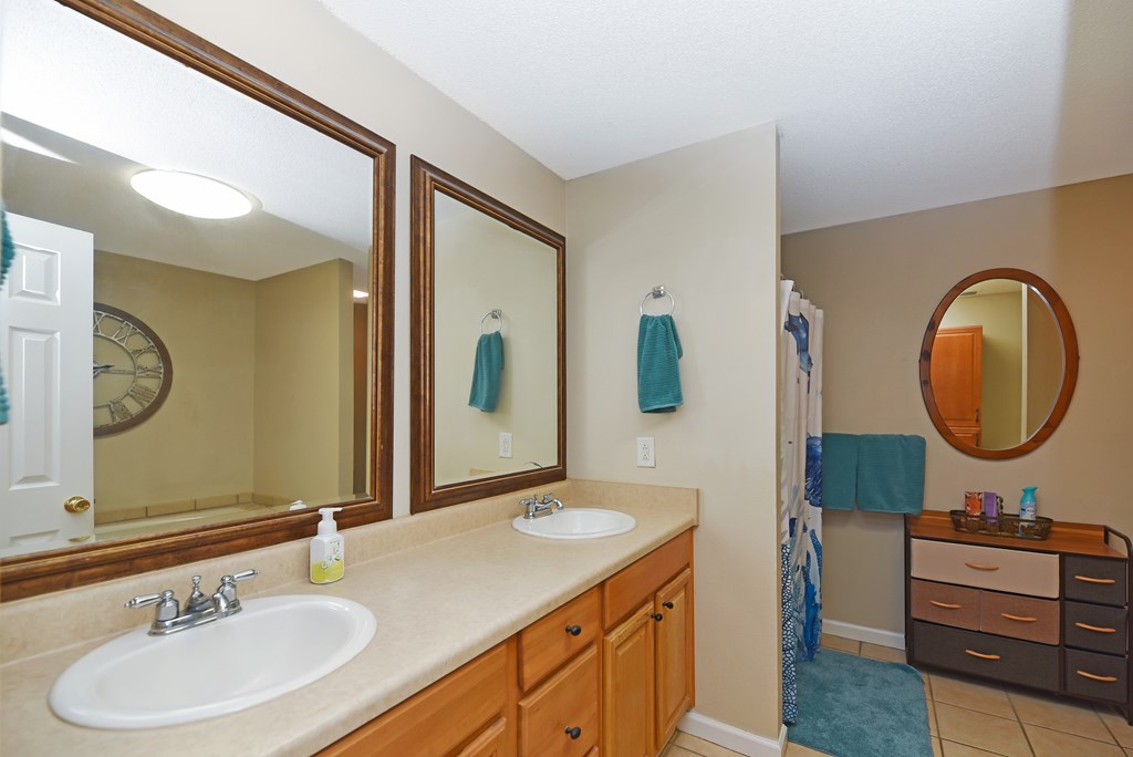 613 Collins Road Dothan, AL 36305 - Photo 18 of 41 Primary Bathroom