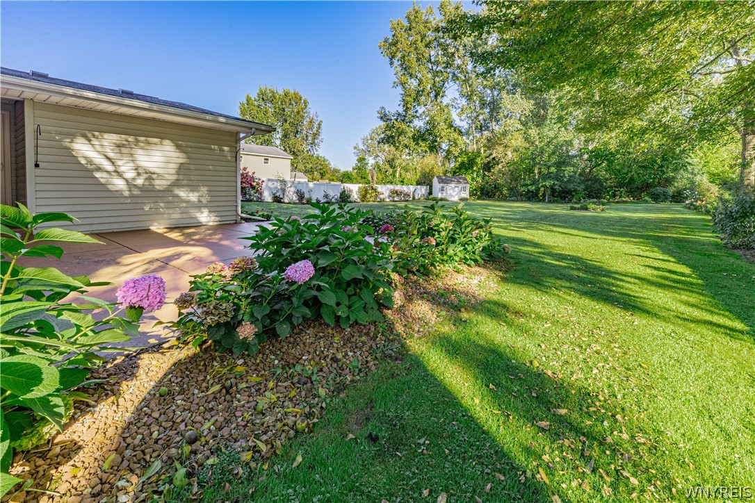 6523 Hatter Road Newfane, NY 14108 - Photo 5 of 42 Gallery Image 5