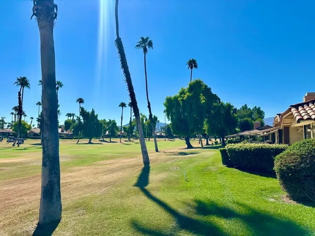 a view of a playground with a palm tree