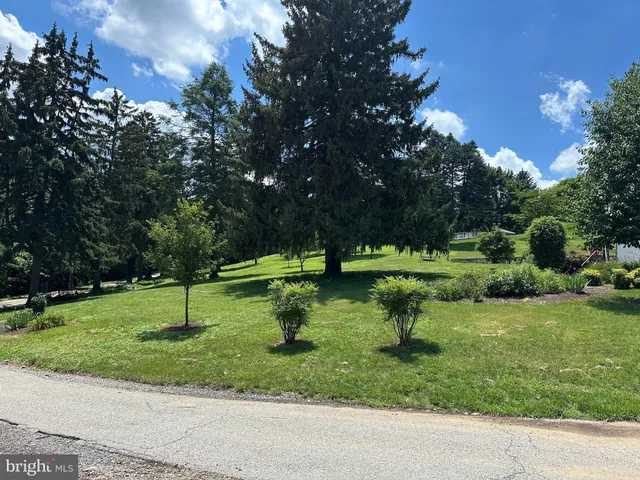 a view of a park with a tree