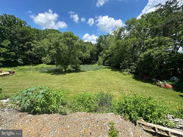 a view of a garden with a building in the background