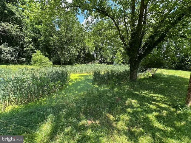 a view of yard with green space