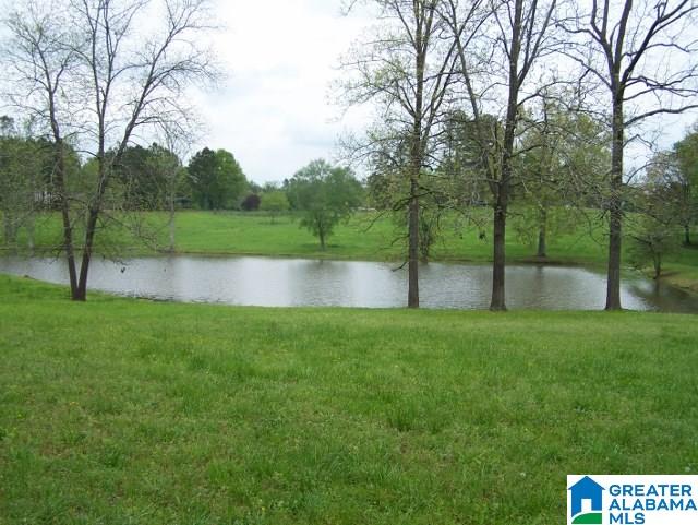 1109 County Road 8 Heflin, AL 36264 - Photo 8 of 34
