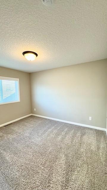 2422 Buffalo Ridge Drive Buffalo, MN 55313 - Photo 14 of 20