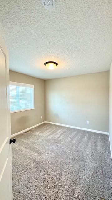 2422 Buffalo Ridge Drive Buffalo, MN 55313 - Photo 15 of 20