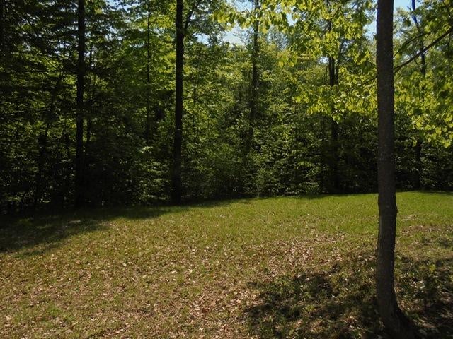 6950 West Ritchie Road Curran, MI 48728 - Photo 27 of 29 Gallery Image 27