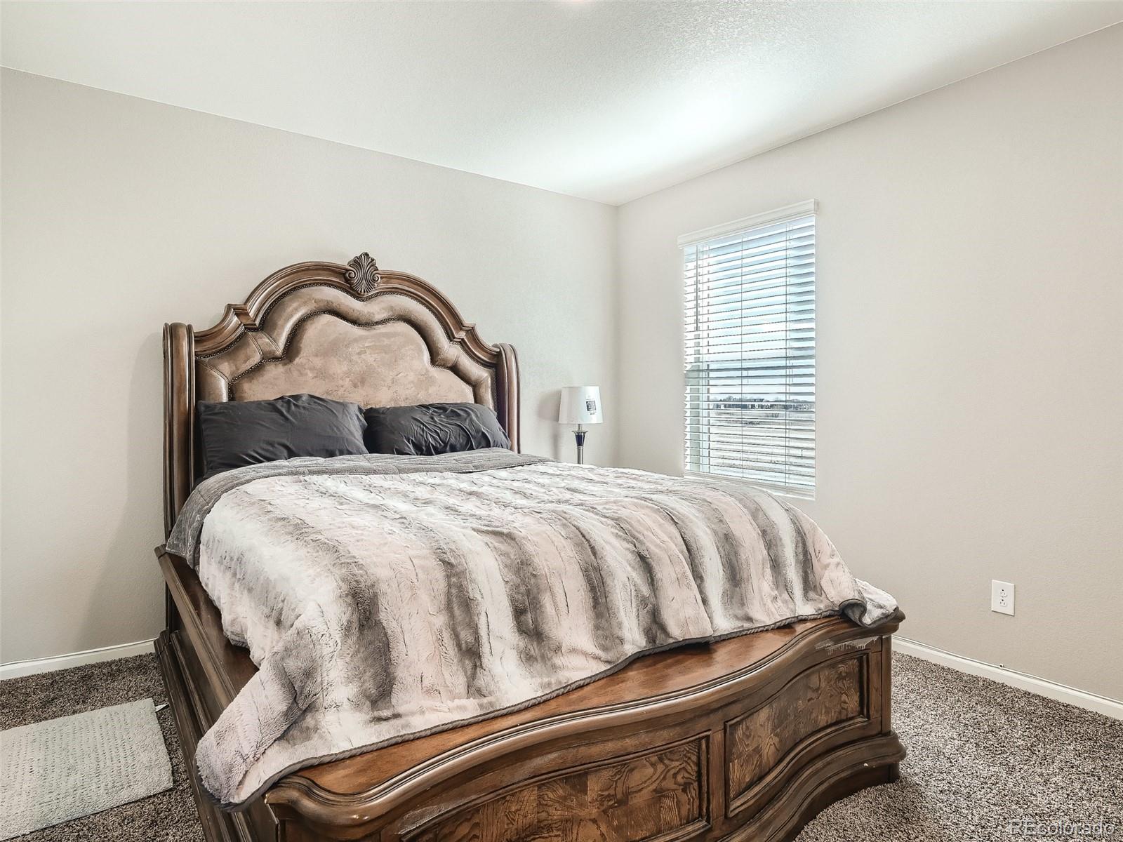 162 Haymaker Lane Severance, CO 80550 - Photo 22 of 28