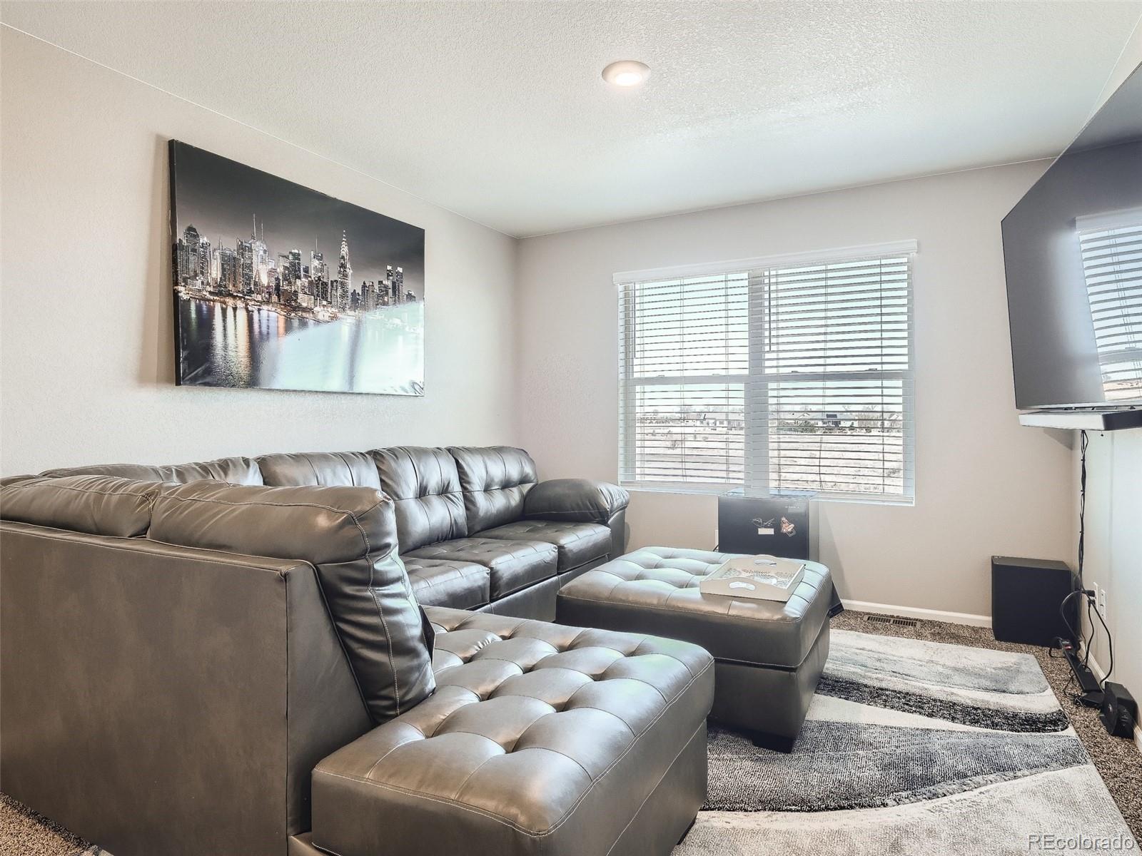 162 Haymaker Lane Severance, CO 80550 - Photo 26 of 28