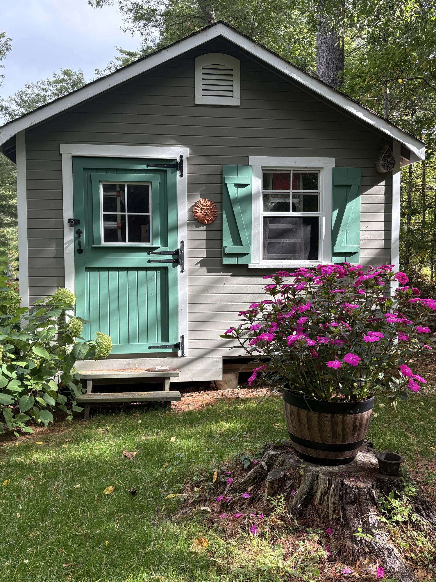Shed back(1)