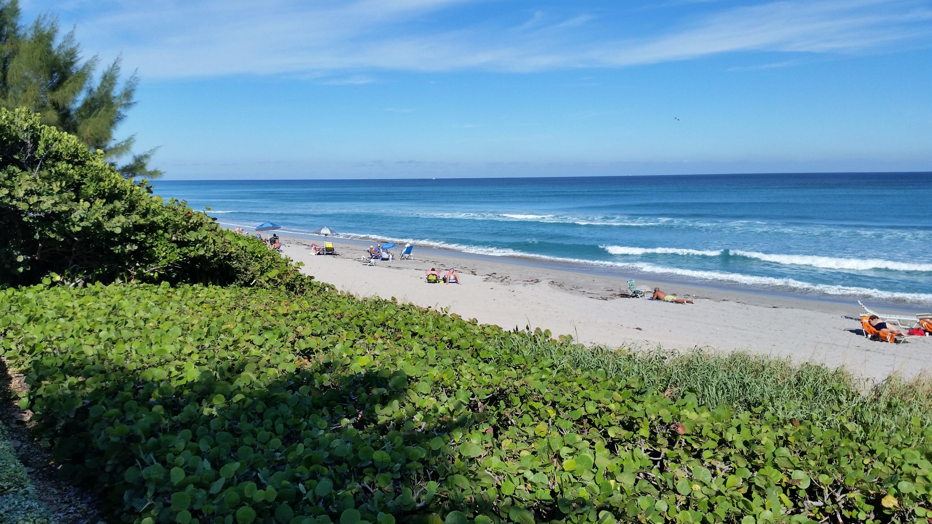2400 Northwest 39th Street Boca Raton, FL 33431 - Photo 76 of 79 People on beach