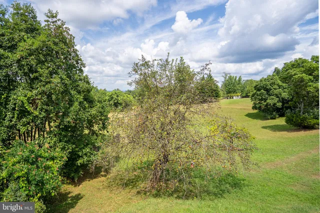 a view of a yard with an trees