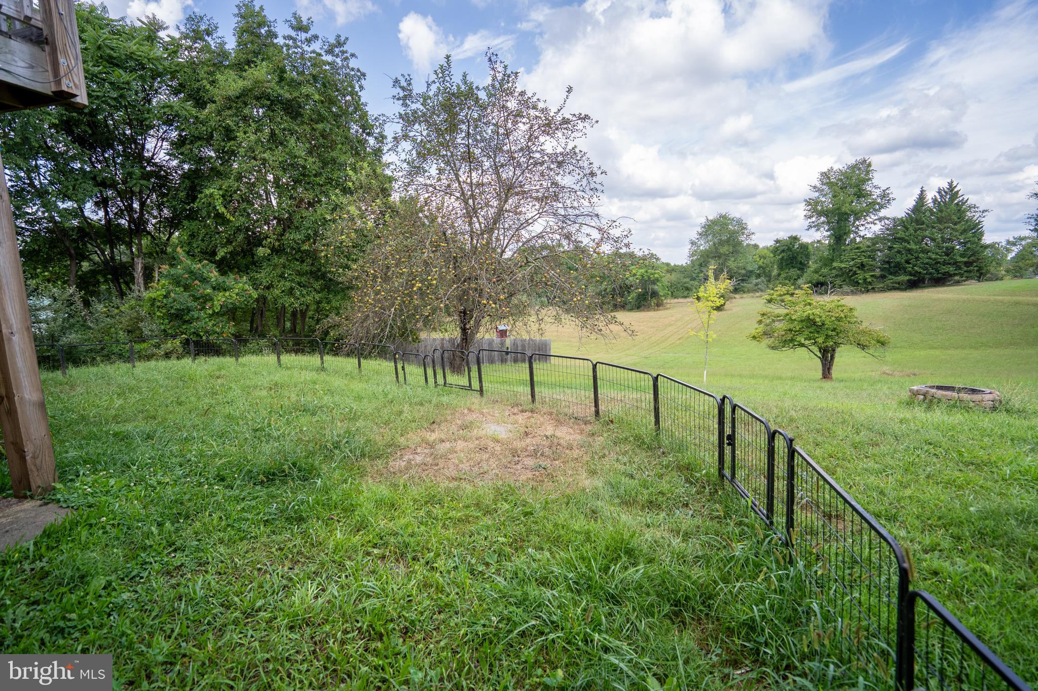 474 Potter Road Hedgesville, WV 25427 - Photo 31 of 40 a view of a lake with a yard and large trees