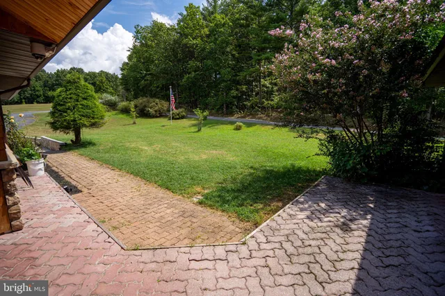 a view of a park with a tree
