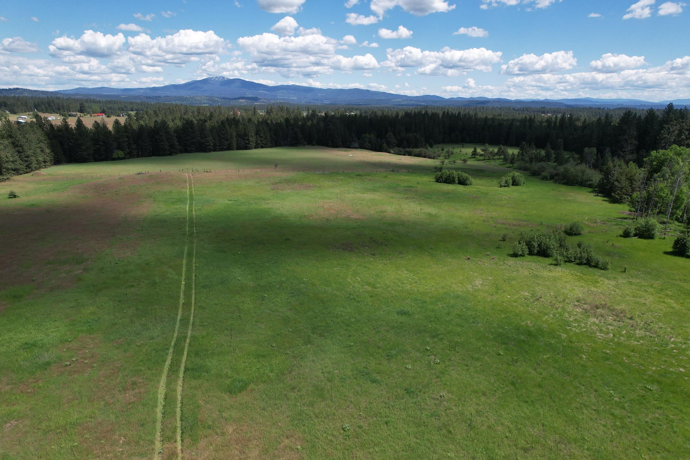 30520 North Mill Road Deer Park, WA 99006 - Photo 1 of 21 Gallery Image 1