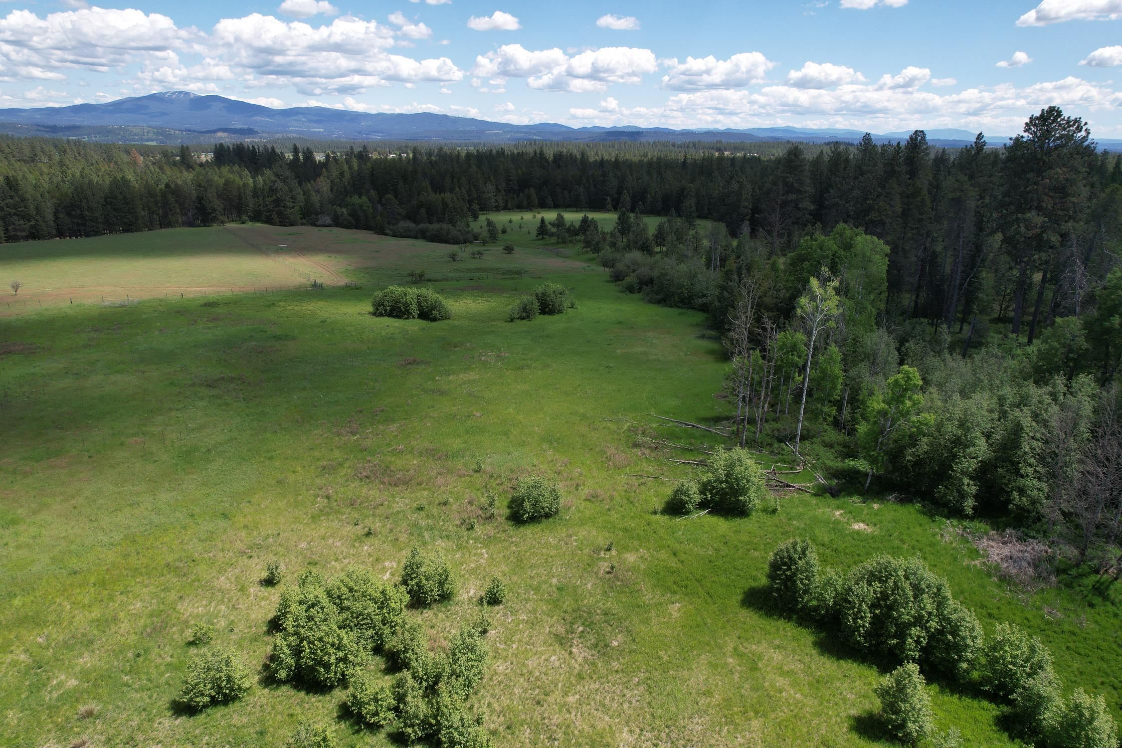 30520 North Mill Road Deer Park, WA 99006 - Photo 11 of 21 Gallery Image 11