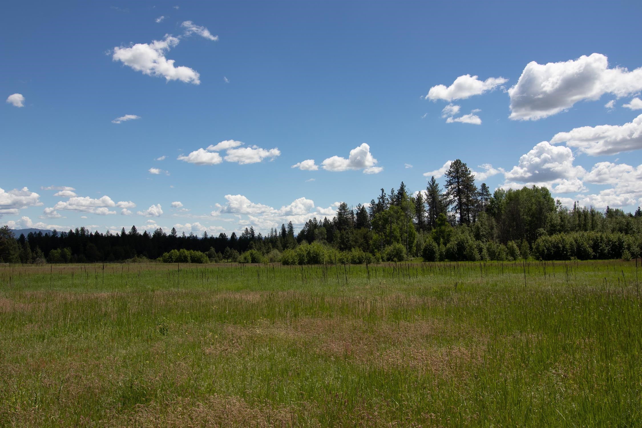 30520 North Mill Road Deer Park, WA 99006 - Photo 12 of 21 Gallery Image 12