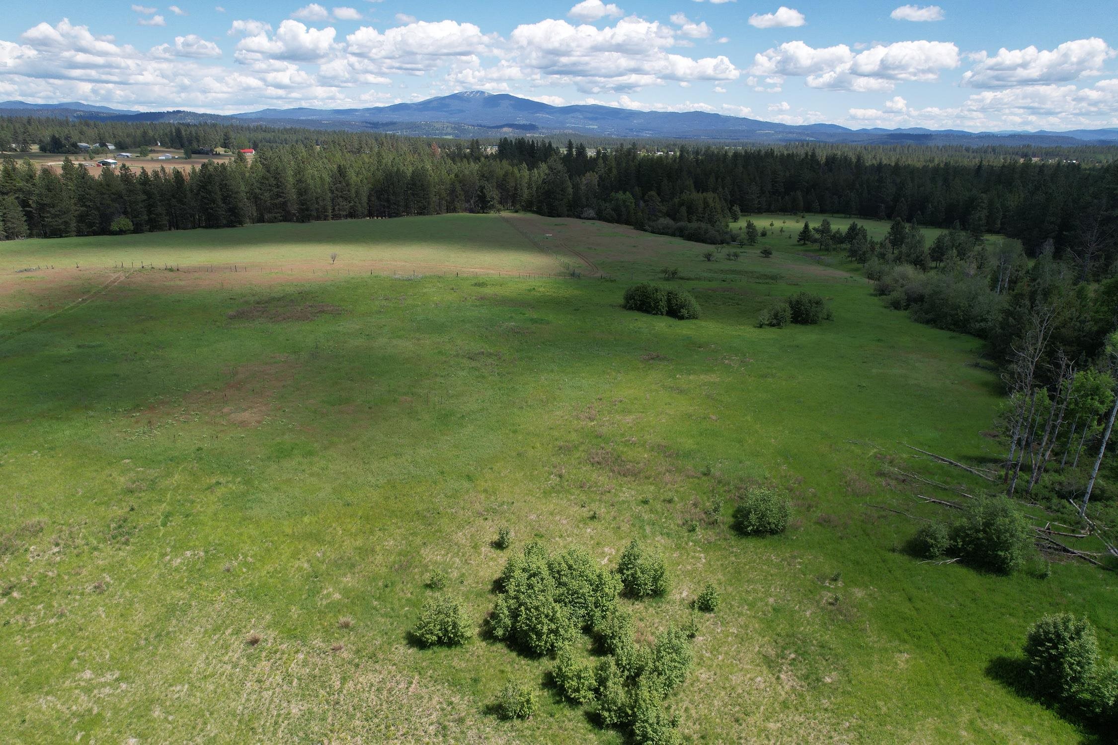 30520 North Mill Road Deer Park, WA 99006 - Photo 14 of 21 Gallery Image 14