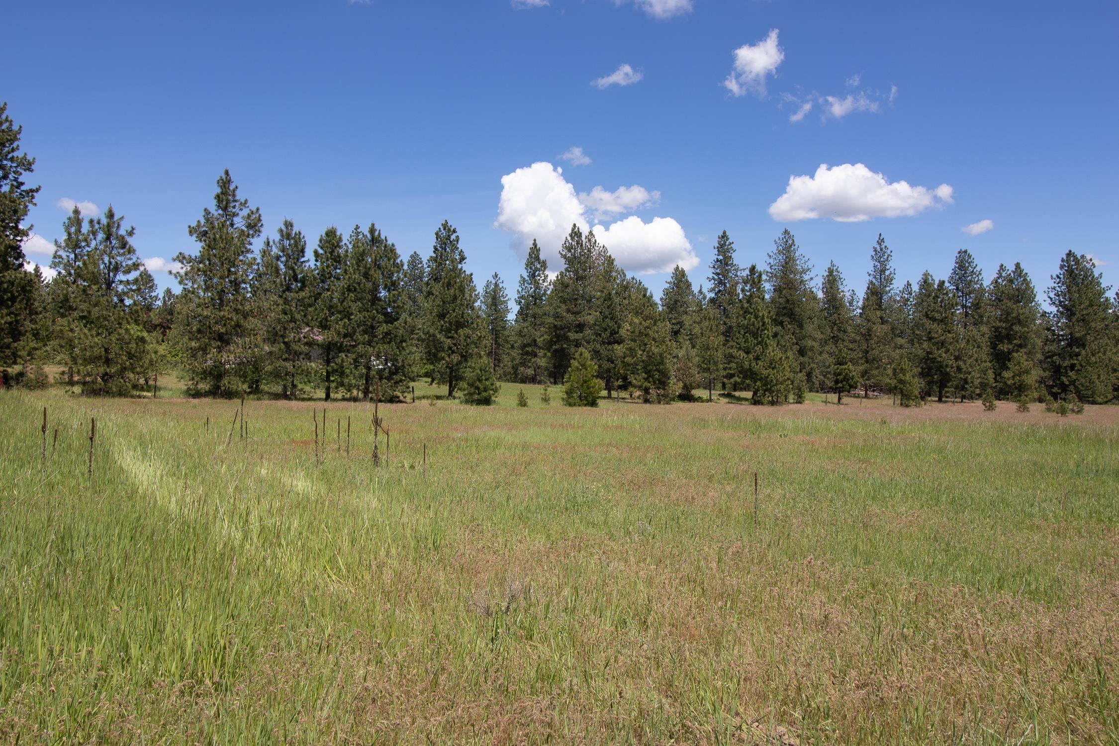 30520 North Mill Road Deer Park, WA 99006 - Photo 16 of 21 Gallery Image 16