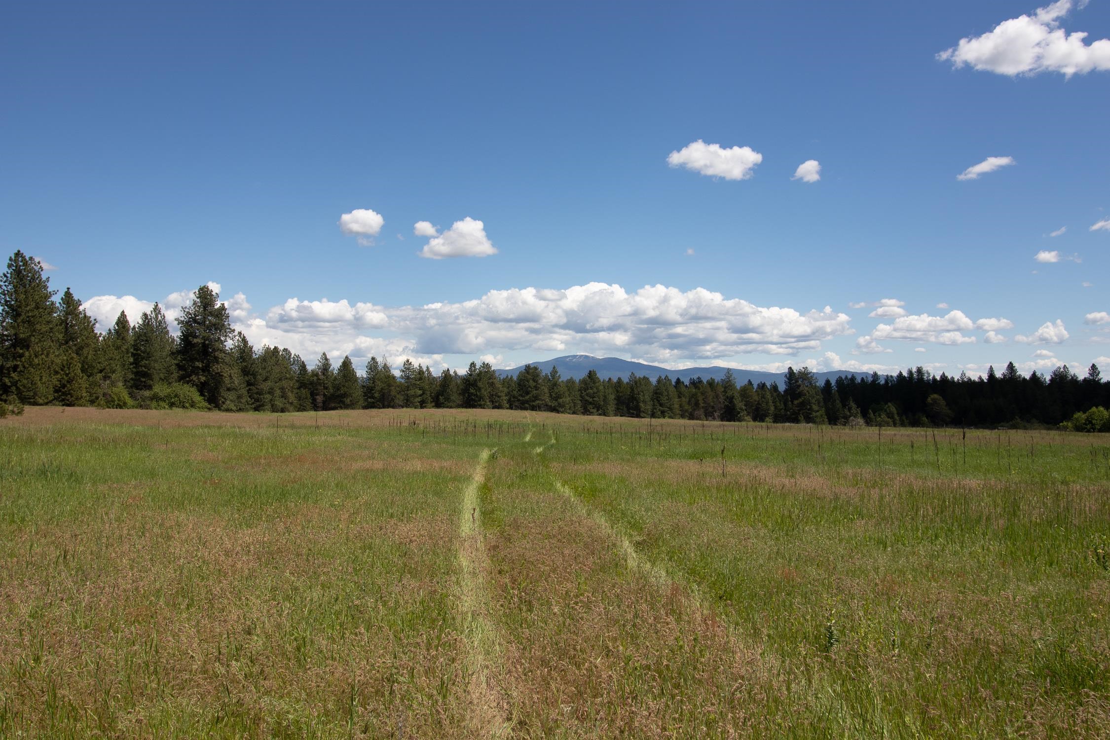 30520 North Mill Road Deer Park, WA 99006 - Photo 17 of 21 Gallery Image 17
