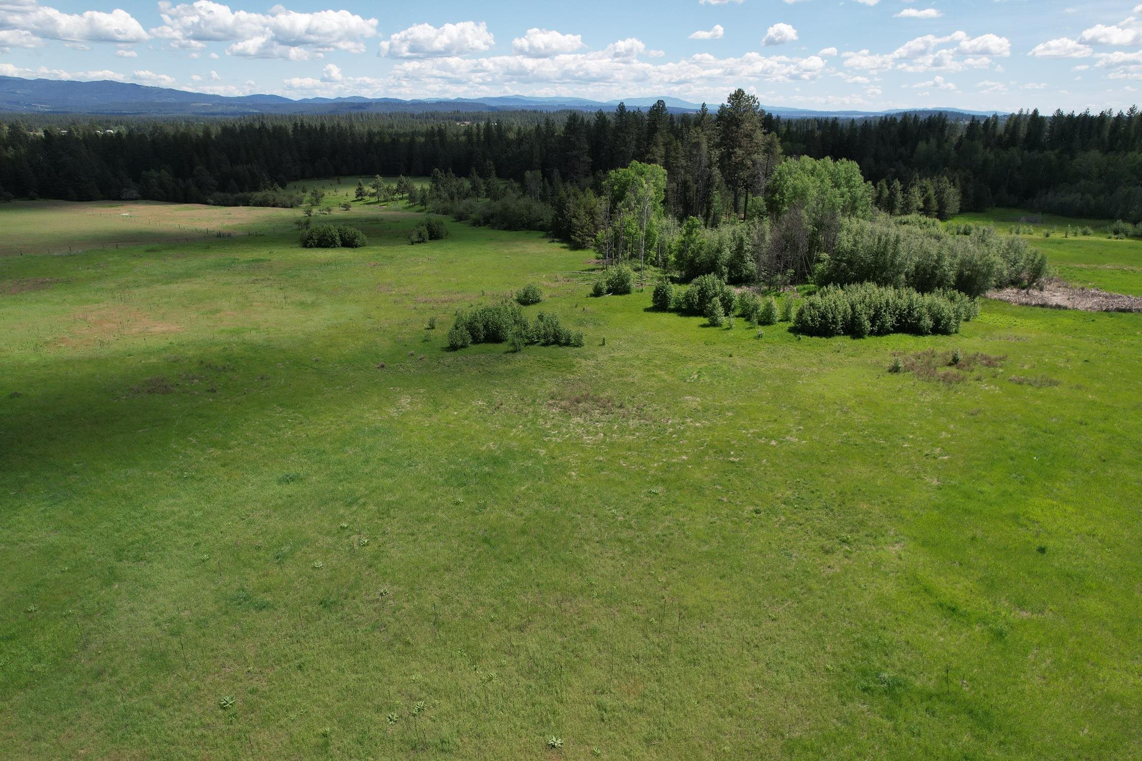 30520 North Mill Road Deer Park, WA 99006 - Photo 19 of 21 Gallery Image 19