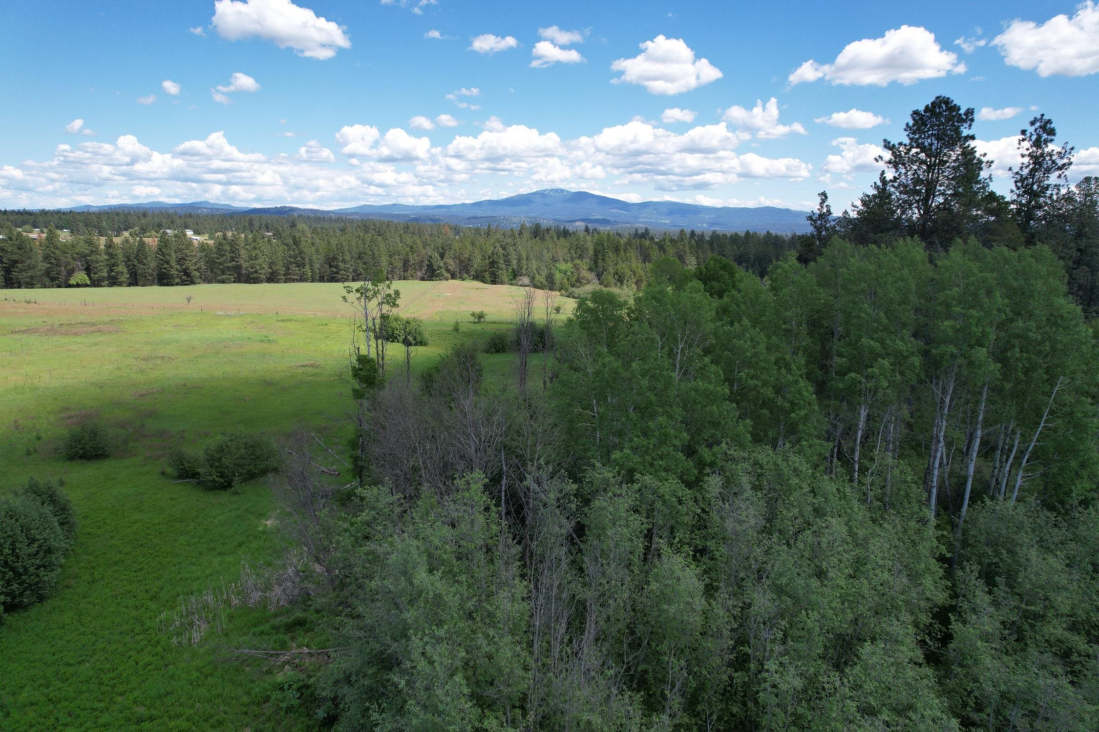 30520 North Mill Road Deer Park, WA 99006 - Photo 3 of 21 Gallery Image 3
