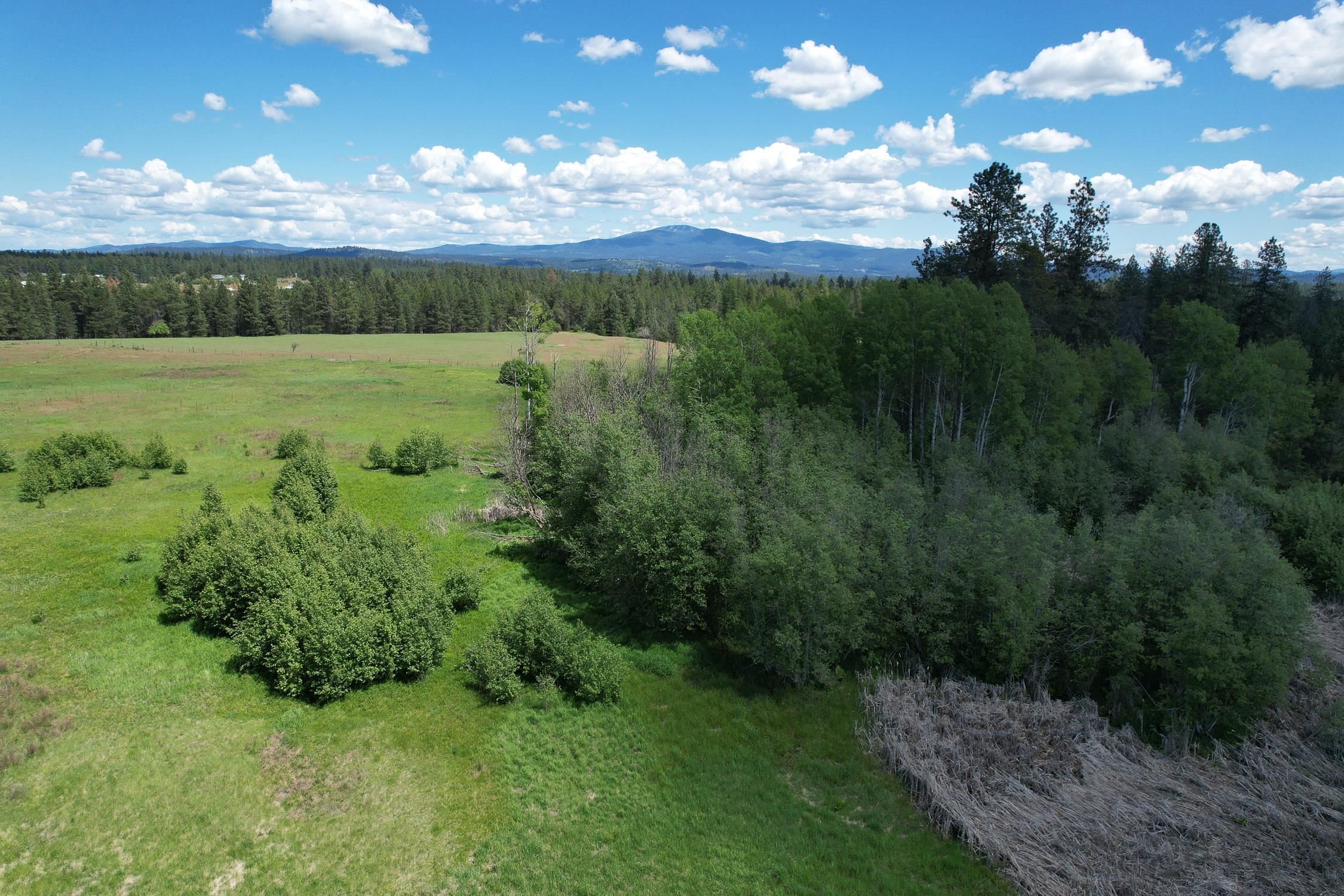 30520 North Mill Road Deer Park, WA 99006 - Photo 5 of 21 Gallery Image 5