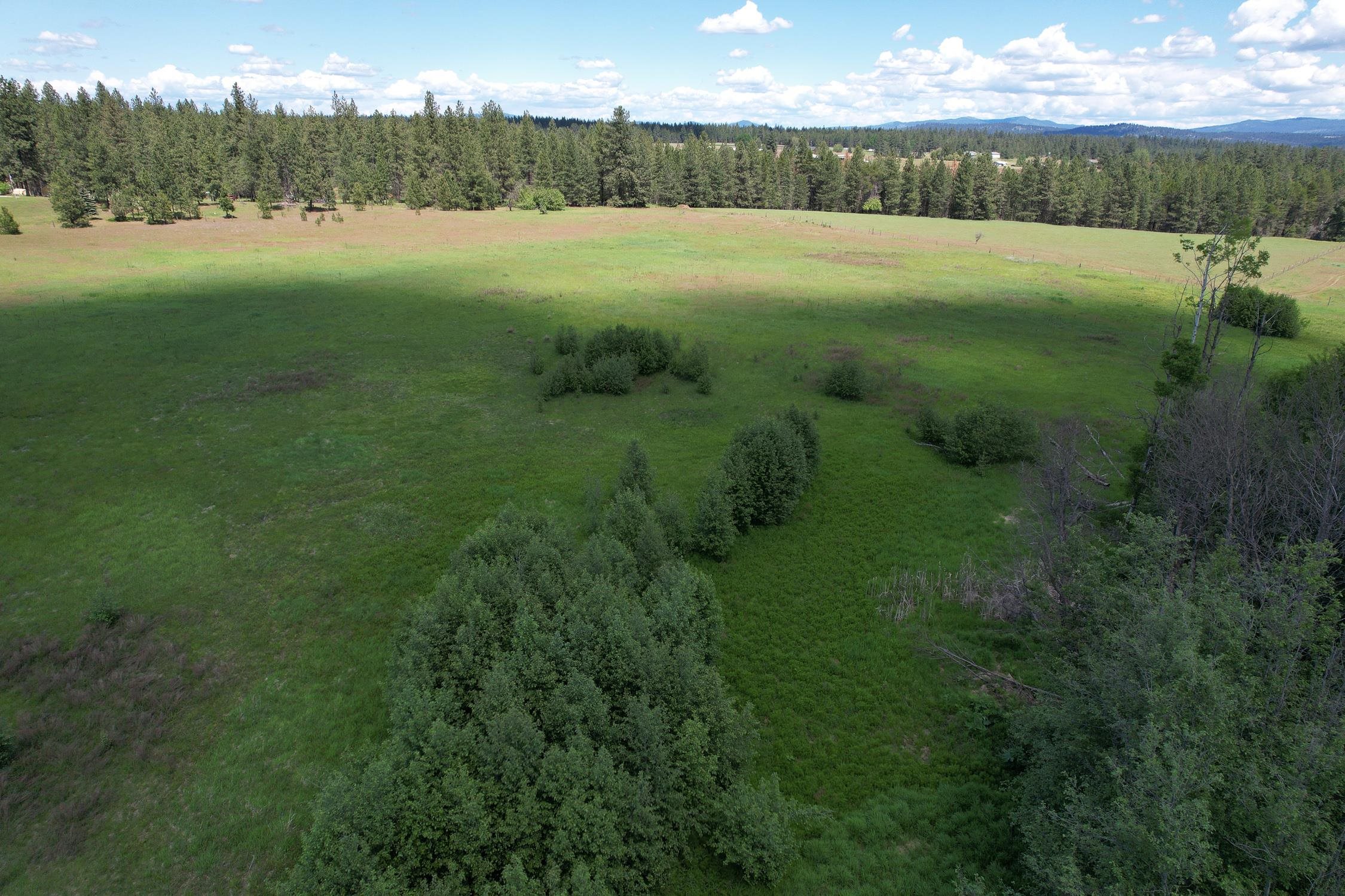 30520 North Mill Road Deer Park, WA 99006 - Photo 7 of 21 Gallery Image 7