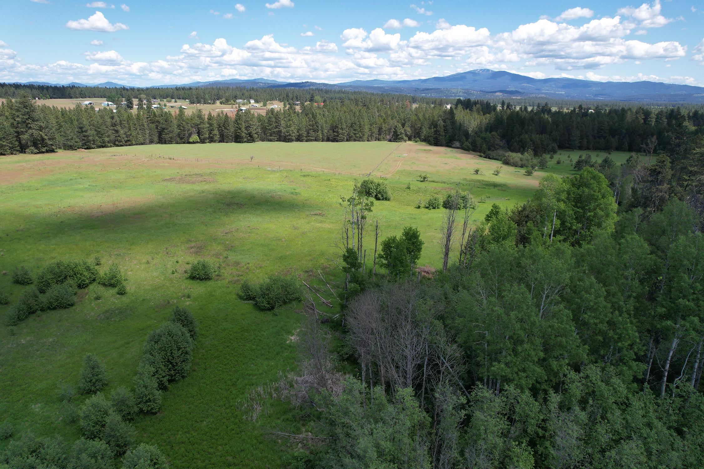30520 North Mill Road Deer Park, WA 99006 - Photo 8 of 21 Gallery Image 8