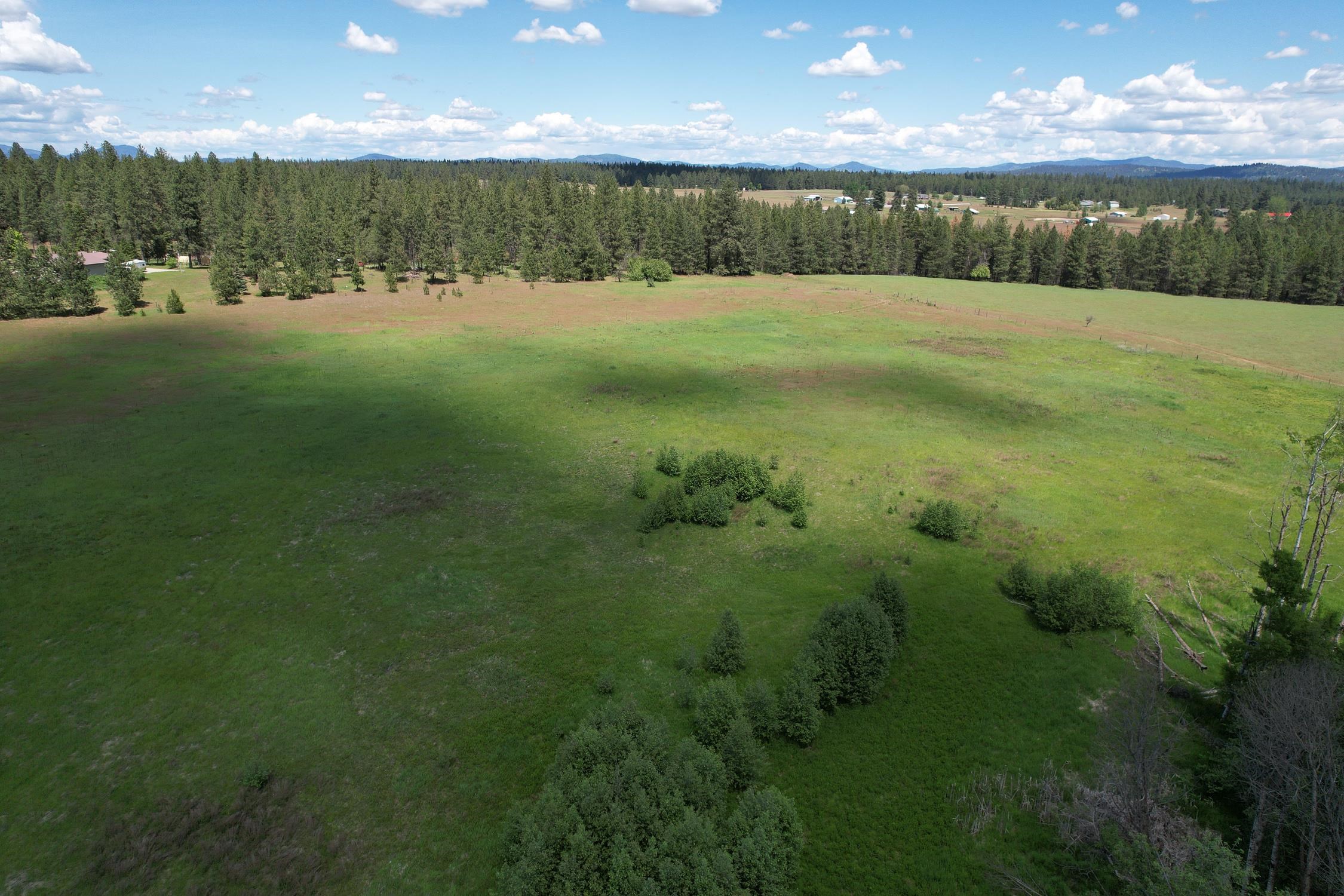 30520 North Mill Road Deer Park, WA 99006 - Photo 9 of 21 Gallery Image 9