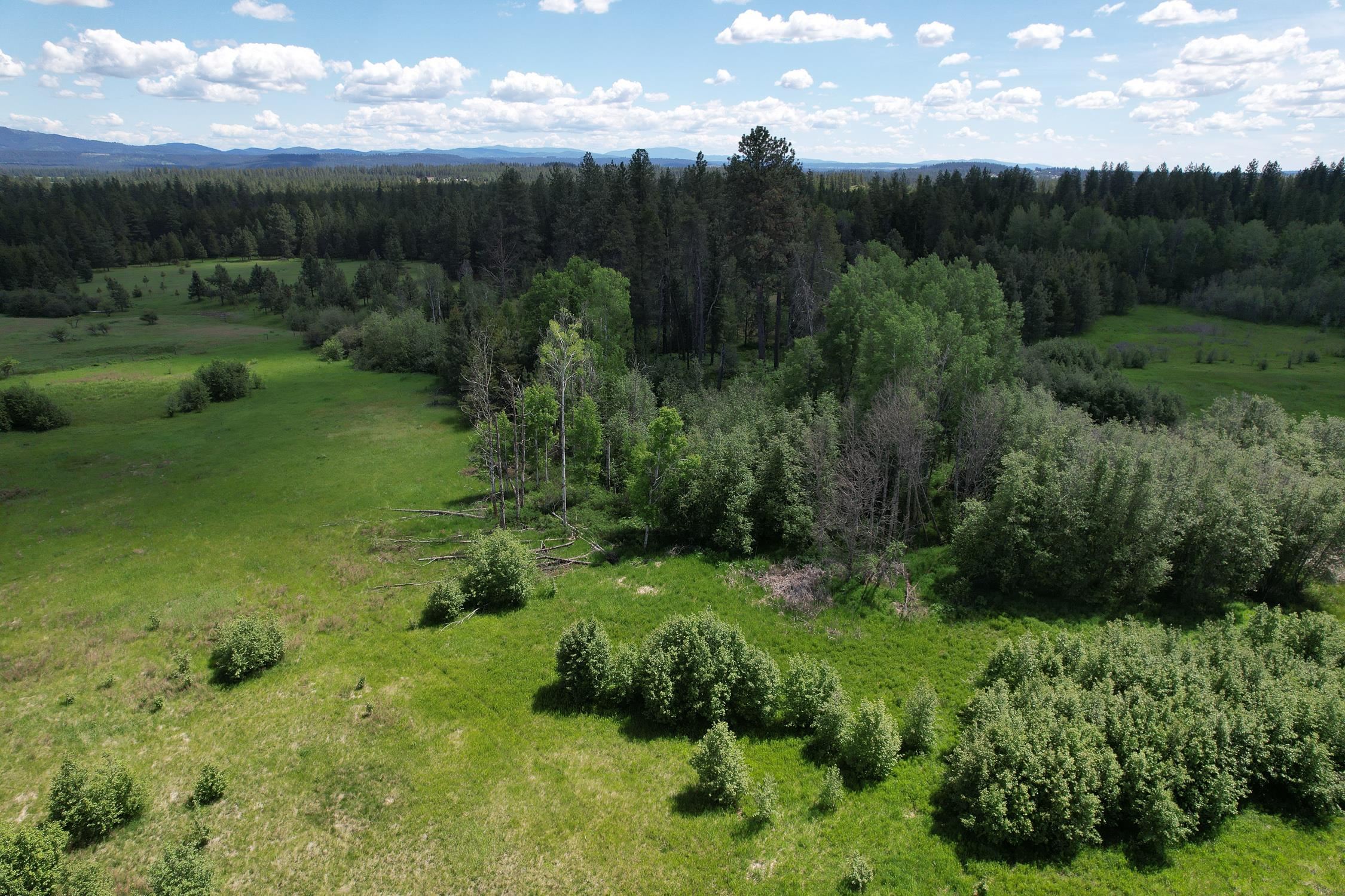 30520 North Mill Road Deer Park, WA 99006 - Photo 10 of 21 Gallery Image 10