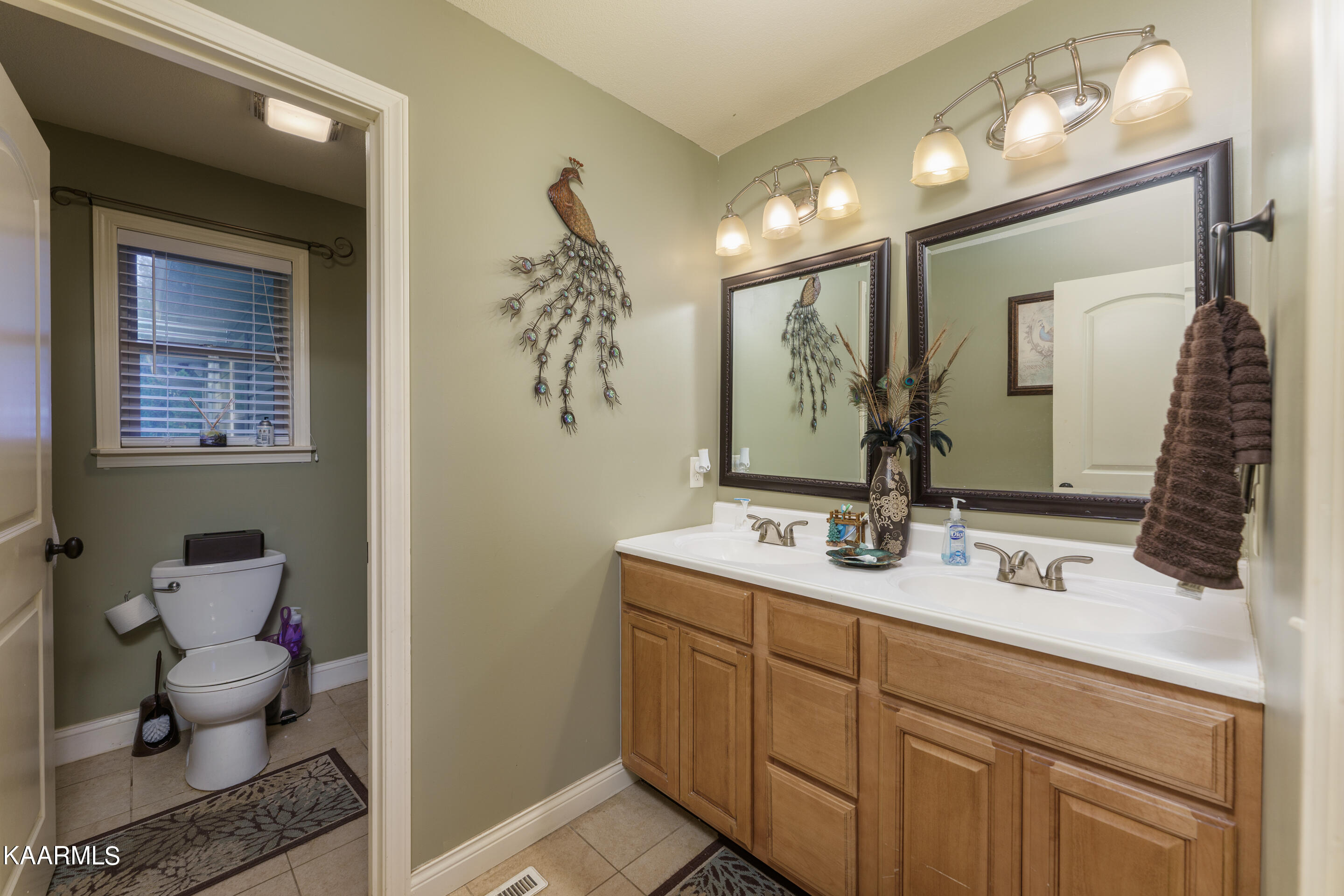1602 Rays Gap Road Seymour, TN 37865 - Photo 17 of 36 master bath 1