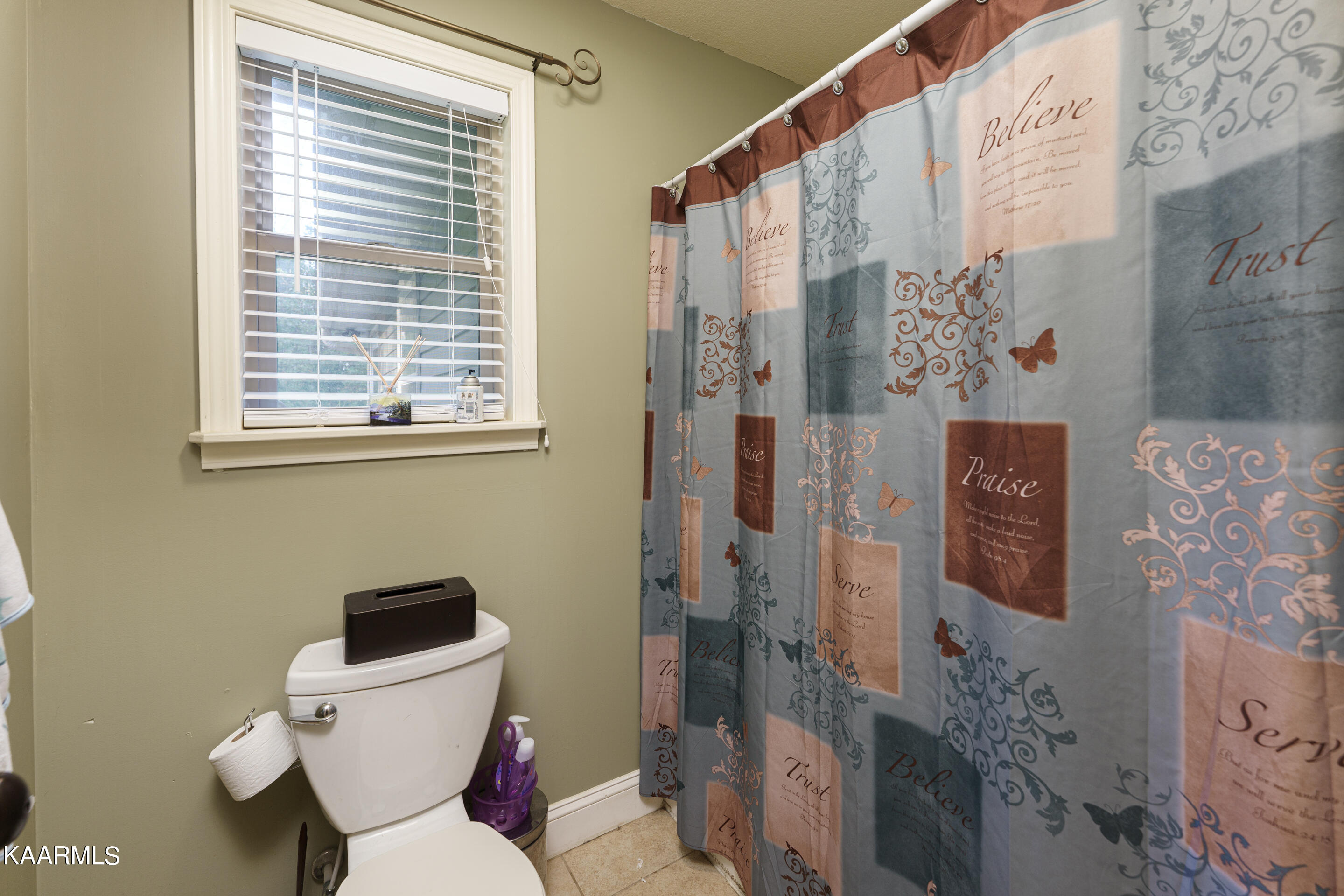 1602 Rays Gap Road Seymour, TN 37865 - Photo 18 of 36 master bath 1 tub