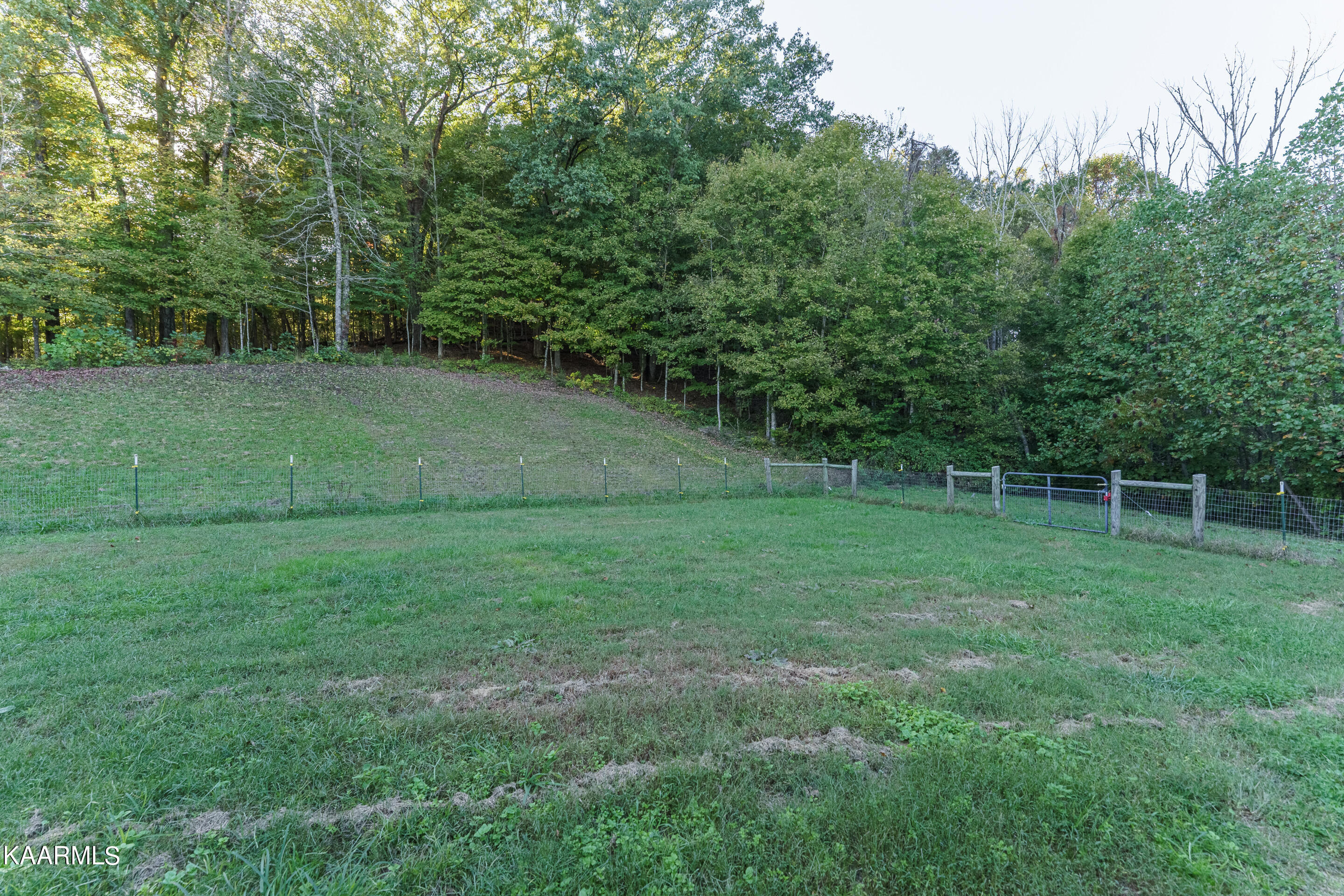 1602 Rays Gap Road Seymour, TN 37865 - Photo 29 of 36 back yard 2