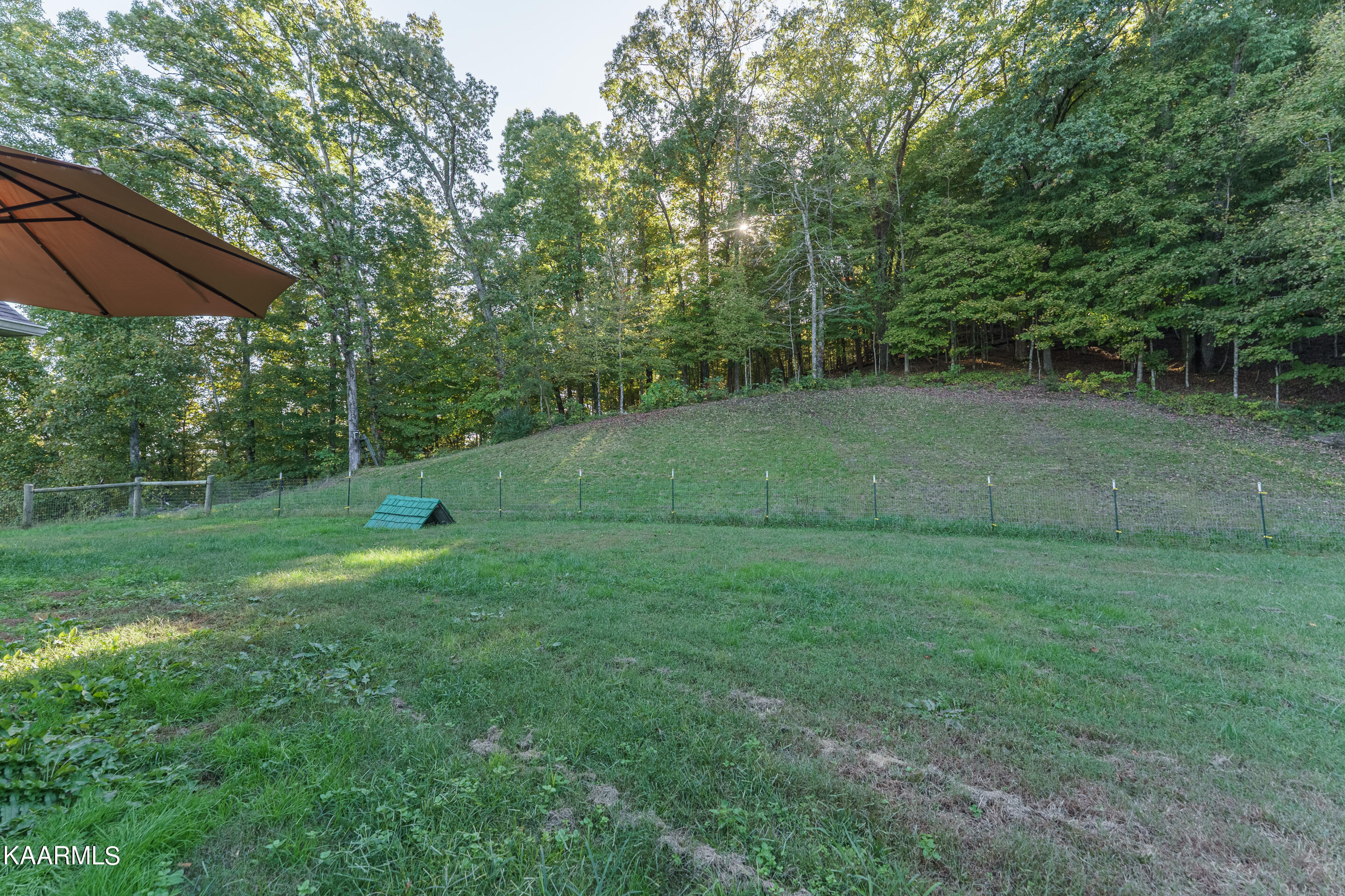 1602 Rays Gap Road Seymour, TN 37865 - Photo 30 of 36 back yard