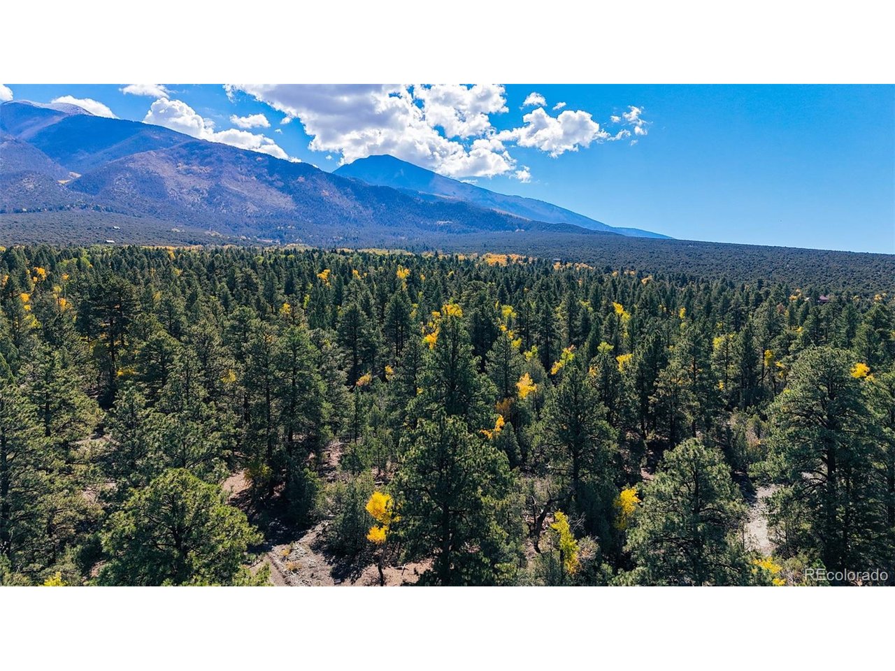 54 Big Bear Road Mosca, CO 81146 - Photo 8 of 8 Gallery Image 8