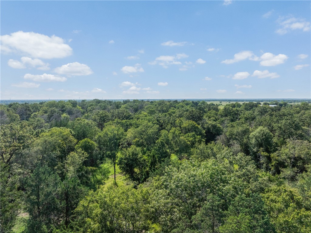 16135 Wilson Pasture Road Bryan, TX 77808 - Photo 24 of 29