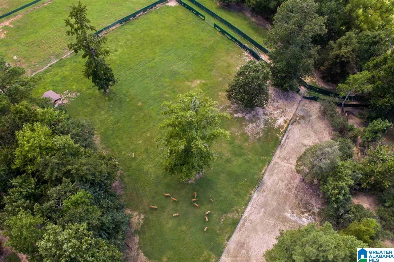 307 Clarecastle Lane Vincent, AL 35178 - Photo 3 of 31