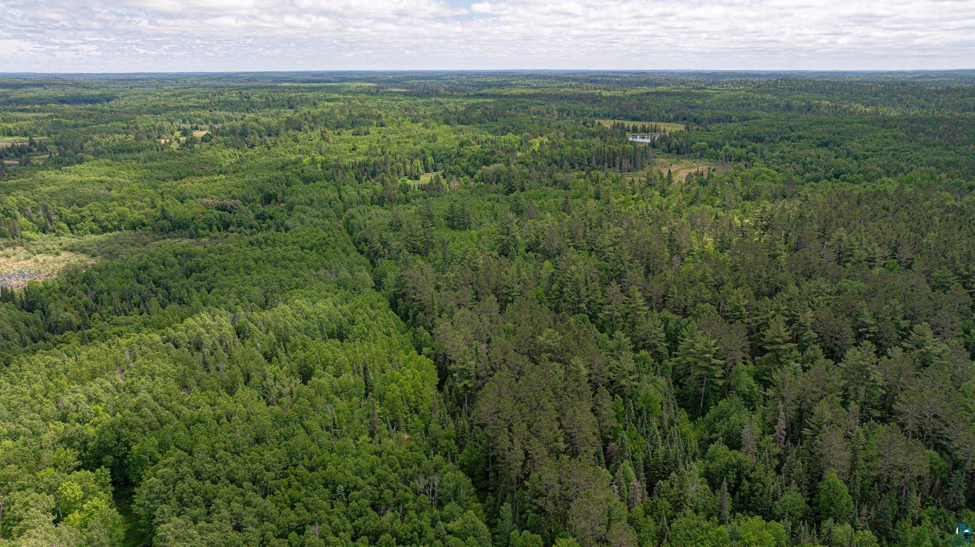 7280 Far North Road Buyck, MN 55771 - Photo 83 of 98