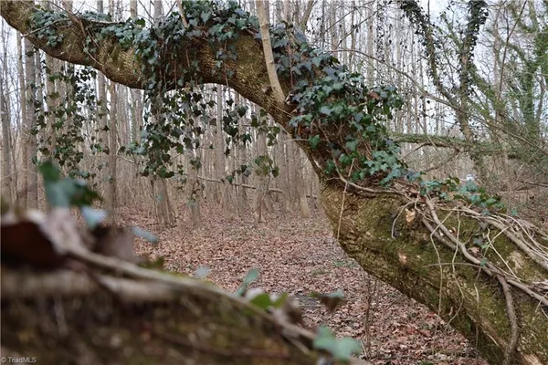 $25,000 | 226 Hamburg Street, Mount Airy, NC 27030