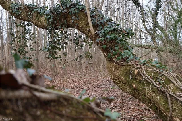 $28,500 | 226 Hamburg Street, Mount Airy, NC 27030