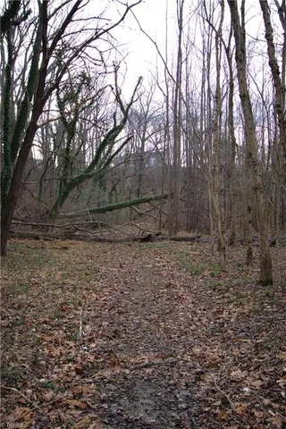 $28,500 | 226 Hamburg Street, Mount Airy, NC 27030