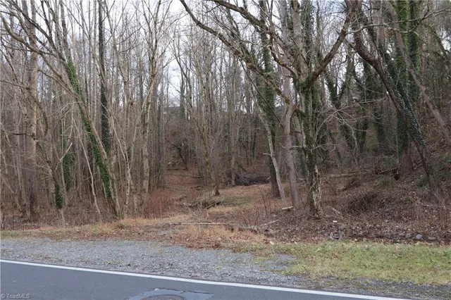 $28,500 | 226 Hamburg Street, Mount Airy, NC 27030