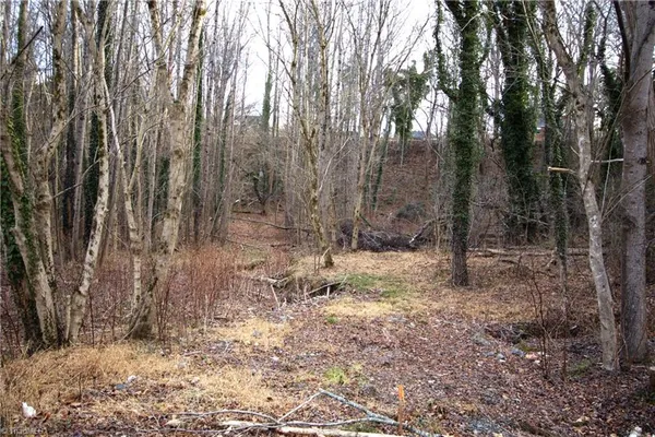 $25,000 | 226 Hamburg Street, Mount Airy, NC 27030