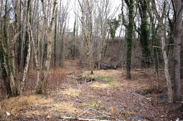 $28,500 | 226 Hamburg Street, Mount Airy, NC 27030