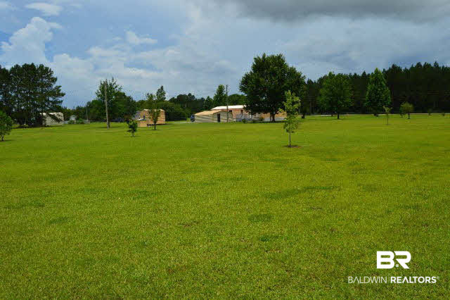 26980 Feely Road Elberta, AL 36530 - Photo 16 of 22 Side Yard