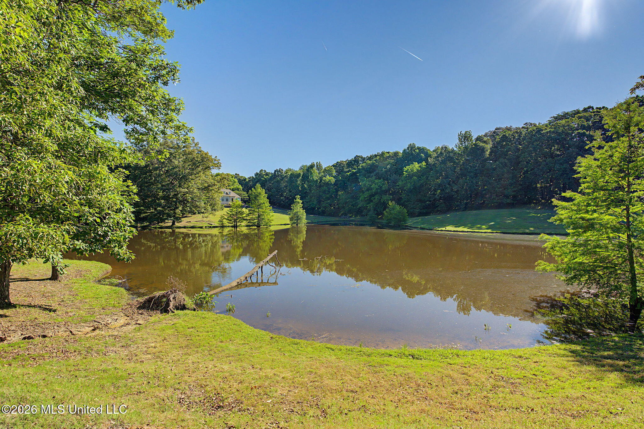 6678 Star Landing Road Lake Cormorant, MS 38641 - Photo 14 of 54 44-web-or-mls-6678 Star Landing Rd-43