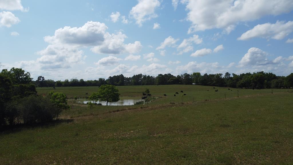 0 County Road 661 Samson, AL 36477 - Photo 8 of 11